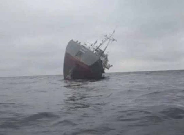 Cargo ship from Estonia sinks off the Ukrainian Black Sea port